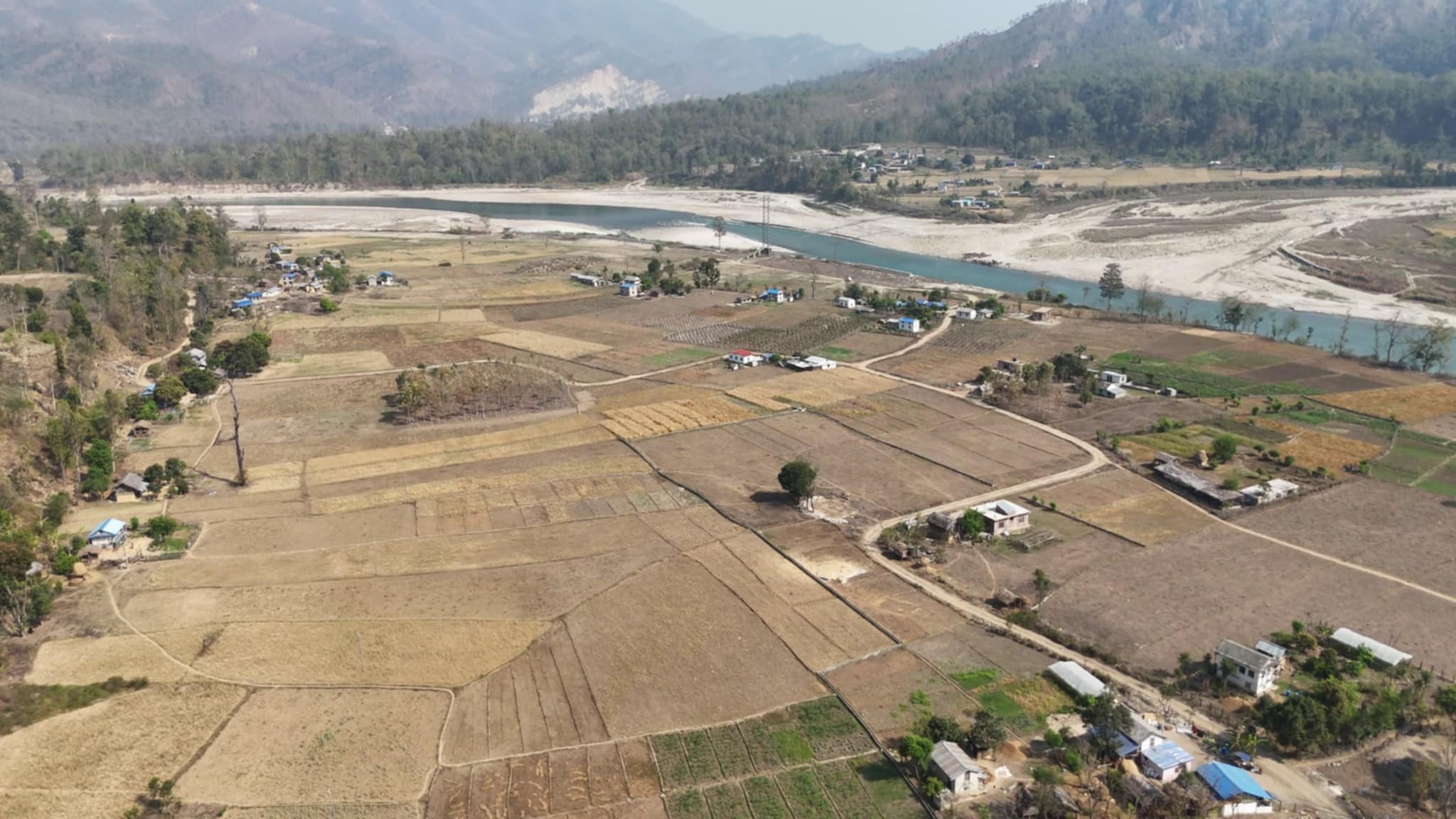 taranga-(5)-1771242763.jpg