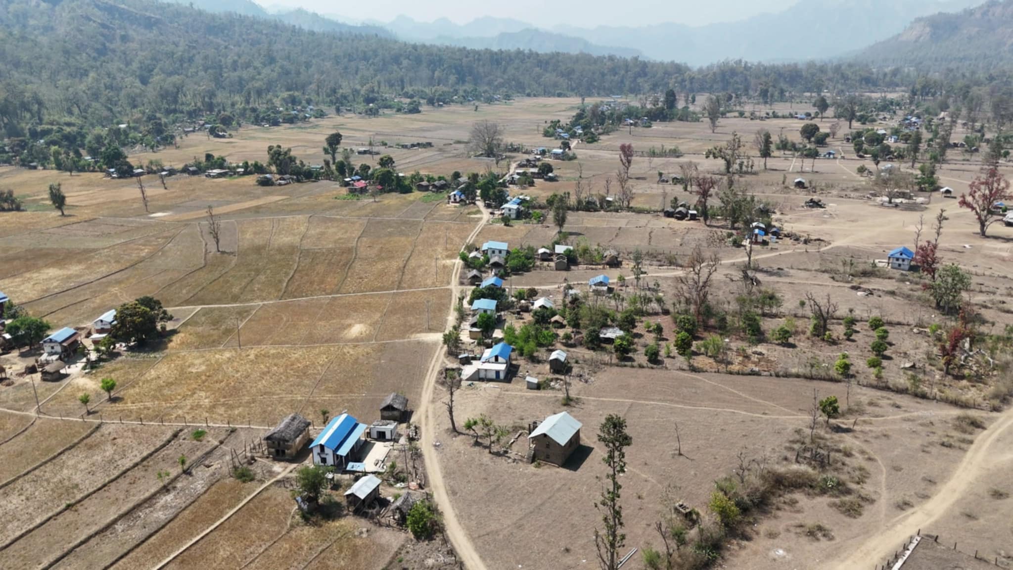 taranga-(6)-1771242763.jpg