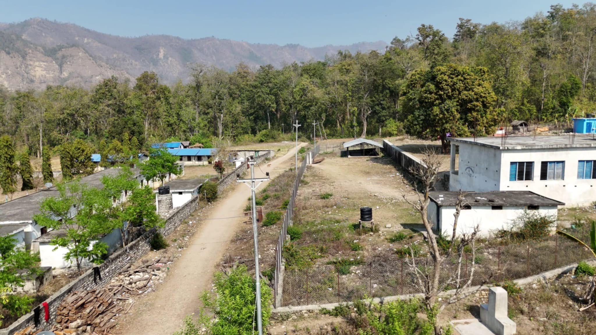 taranga-(7)-1771242764.jpg