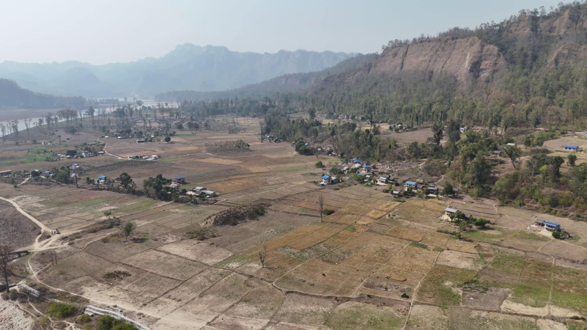 taranga-(8)-1771242764.jpg