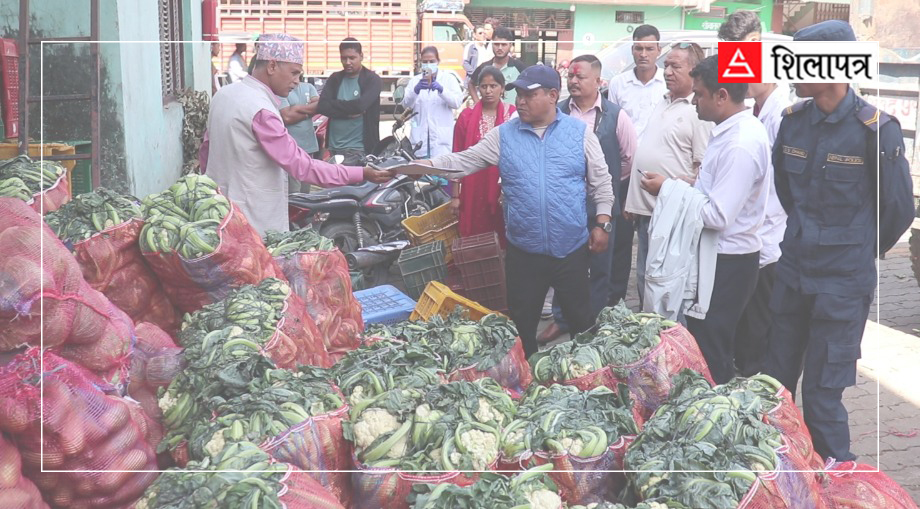 निर्वाध उपभोक्ताको भान्सामा पुग्छन् खानै नमिल्ने गरी अत्यधिक विषादी हालेका तरकारी