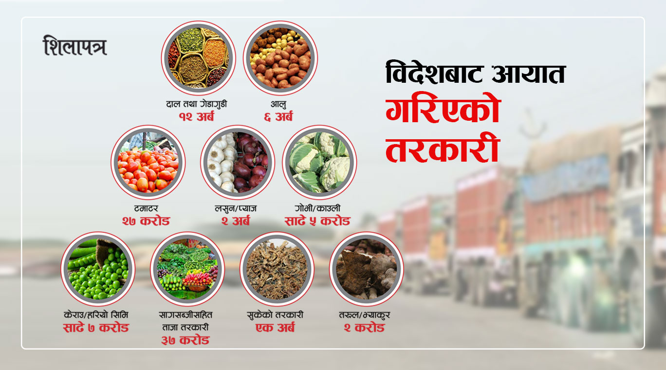 गिट्ठा-भ्याकुरदेखि लसुनका पातसम्म विदेशकै भर, तरकारी किन्न बाहिरियो साढे २२ अर्ब