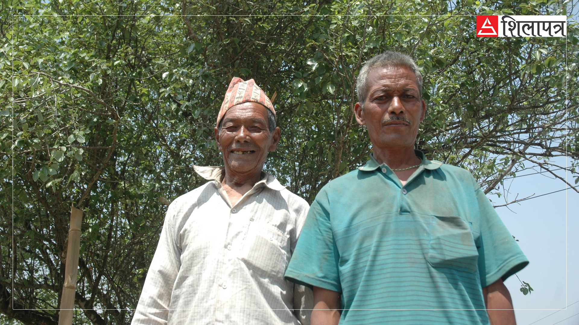 दलाई लामा र दुई वैज्ञानिकको दाबीपछि ‘सुन’ फलाउन थालेको काभ्रेको तिमाल (भिडियोसहित)