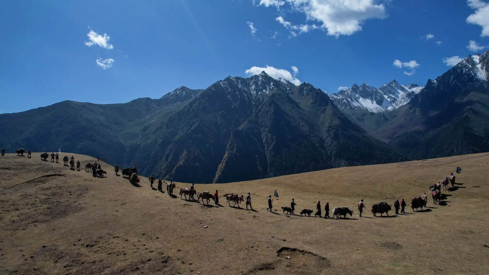 yak-palak-9-1792804045.jpeg