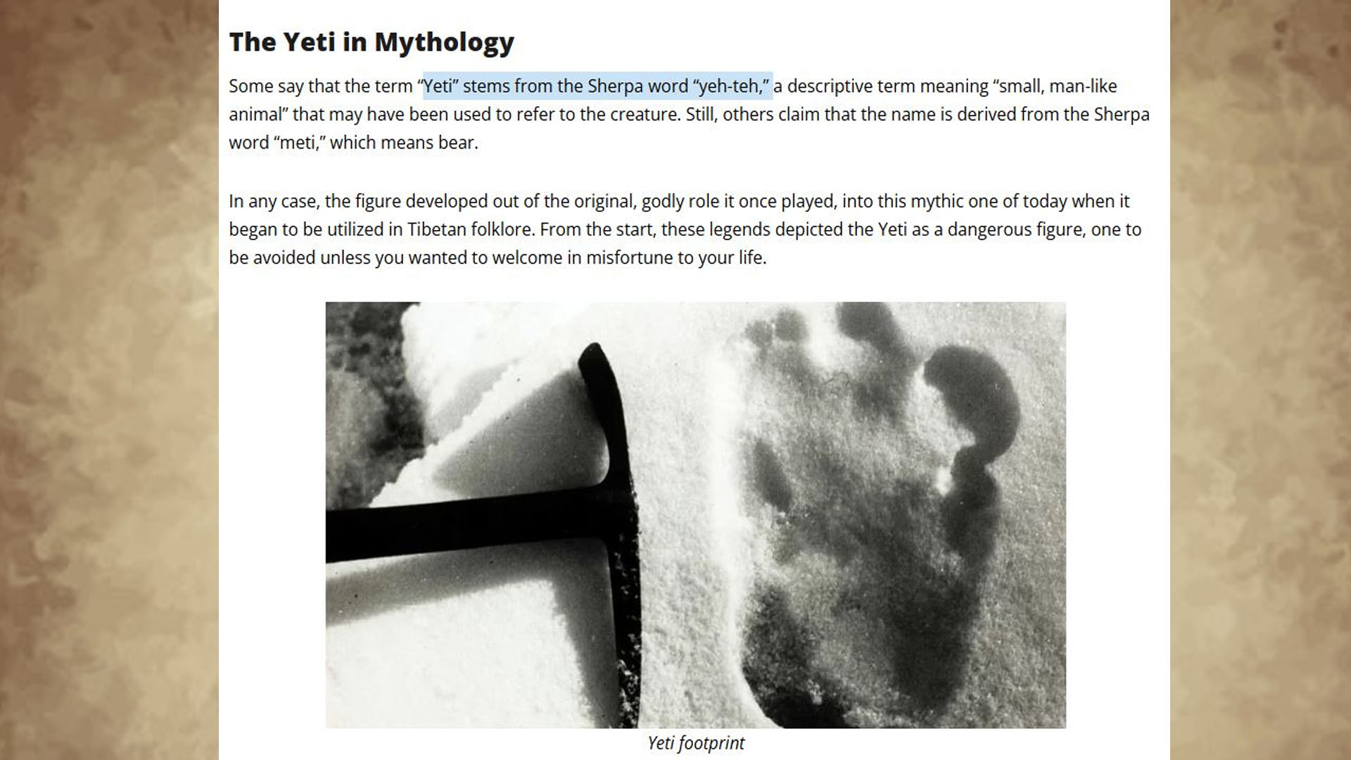 yati-footprint-for-text-1750921023.jpg