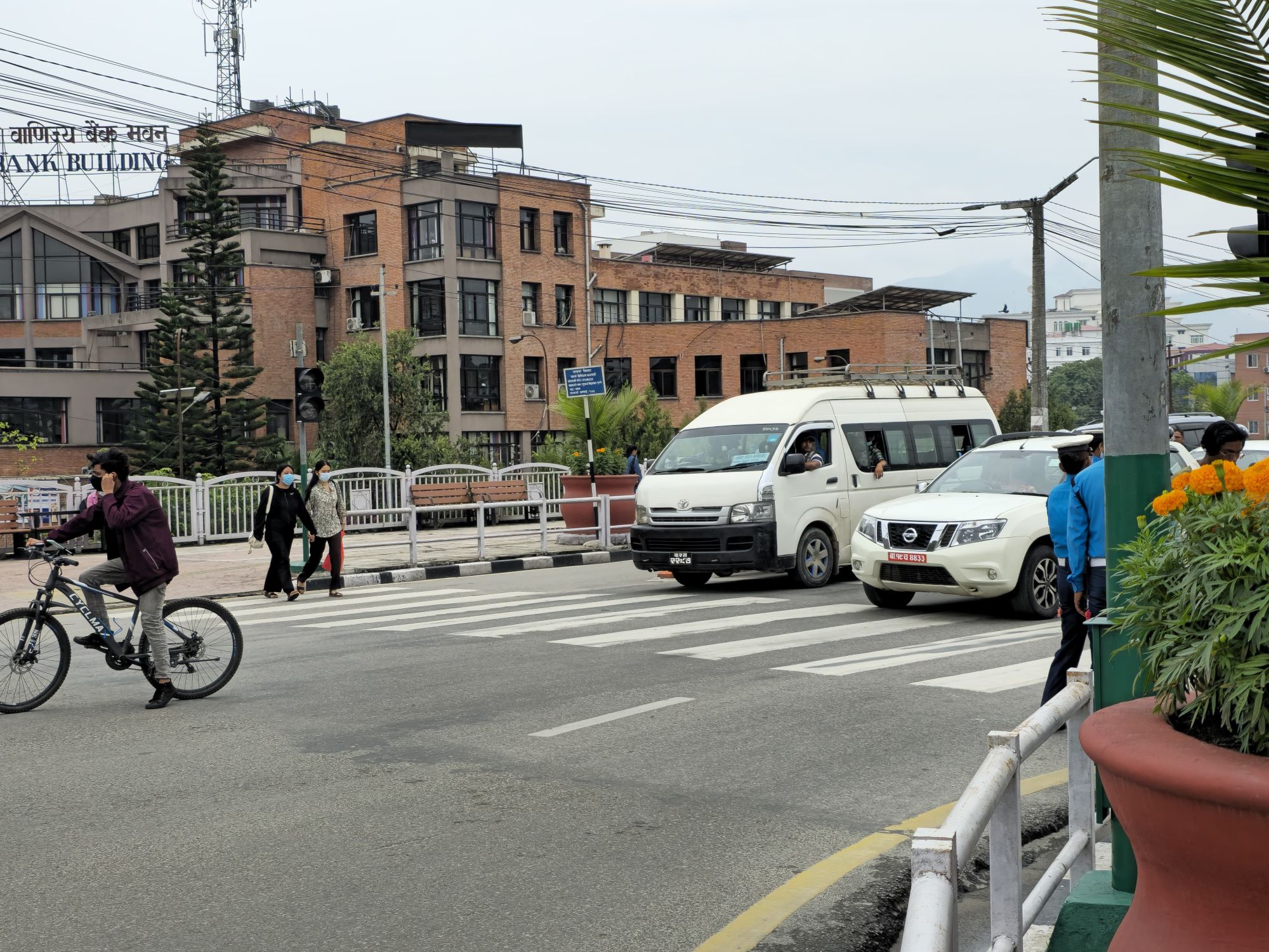 zebra-cross-(10)-1750046512.jpg