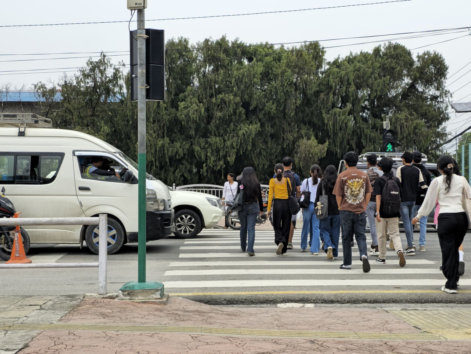 zebra-cross-(11)-1750046512.jpg