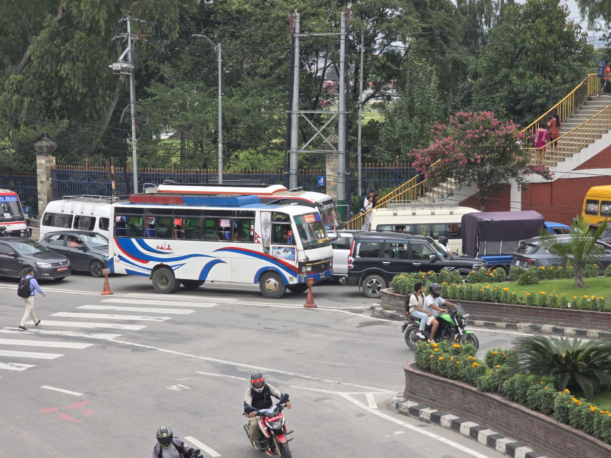 zebra-cross-(13)-1750046513.jpg