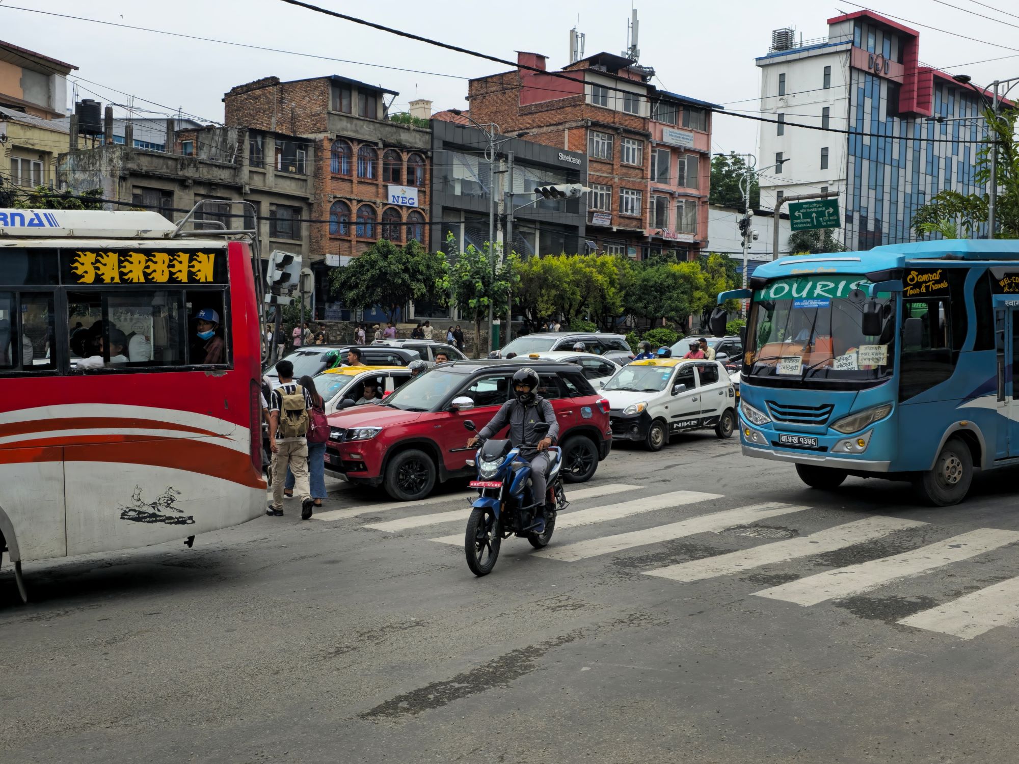 zebra-cross-(14)-1750046513.jpg