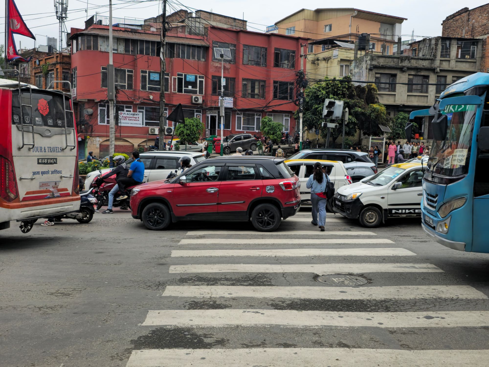 zebra-cross-(15)-1750046514.jpg