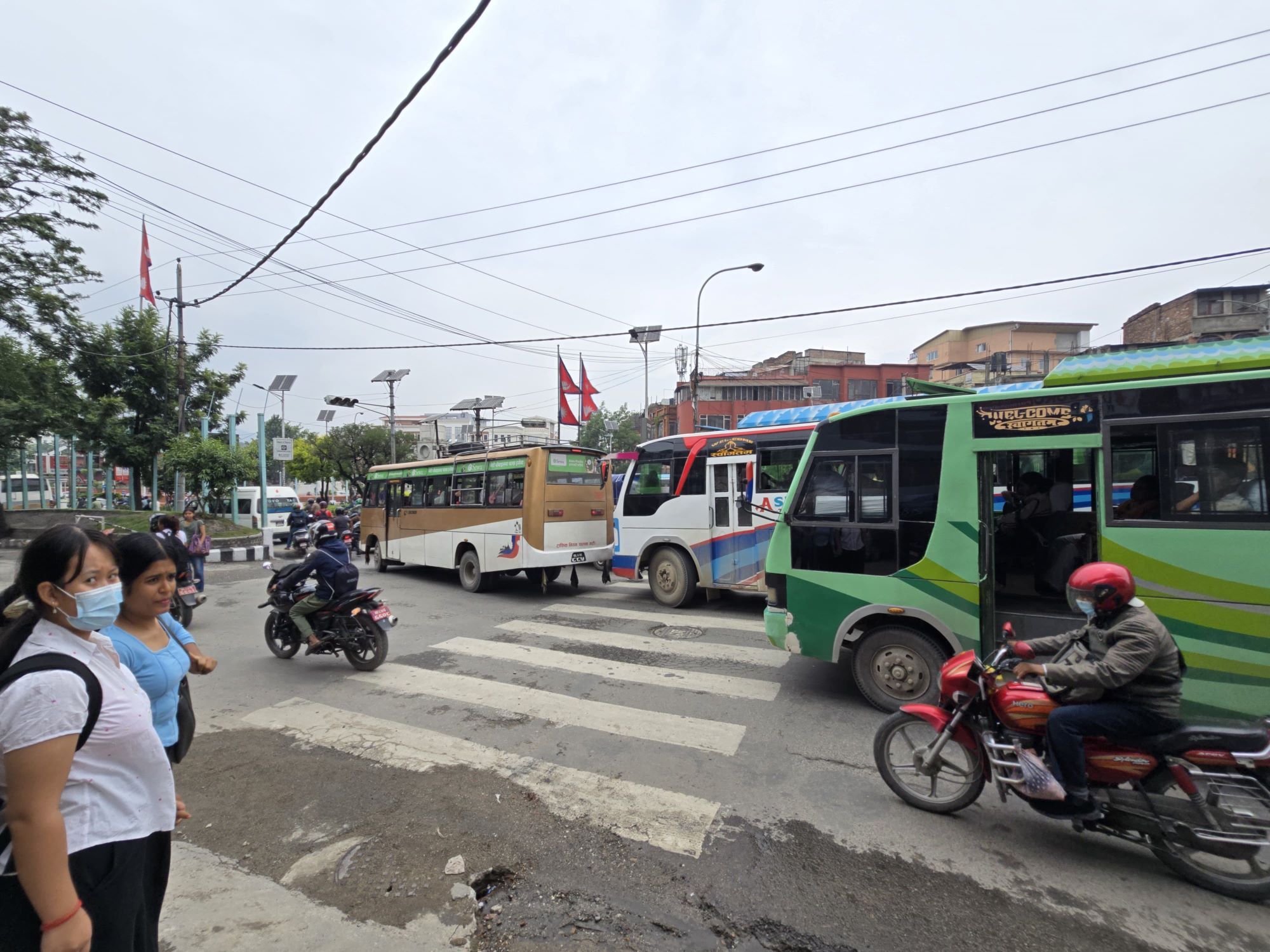 zebra-cross-(17)-1750046515.jpg