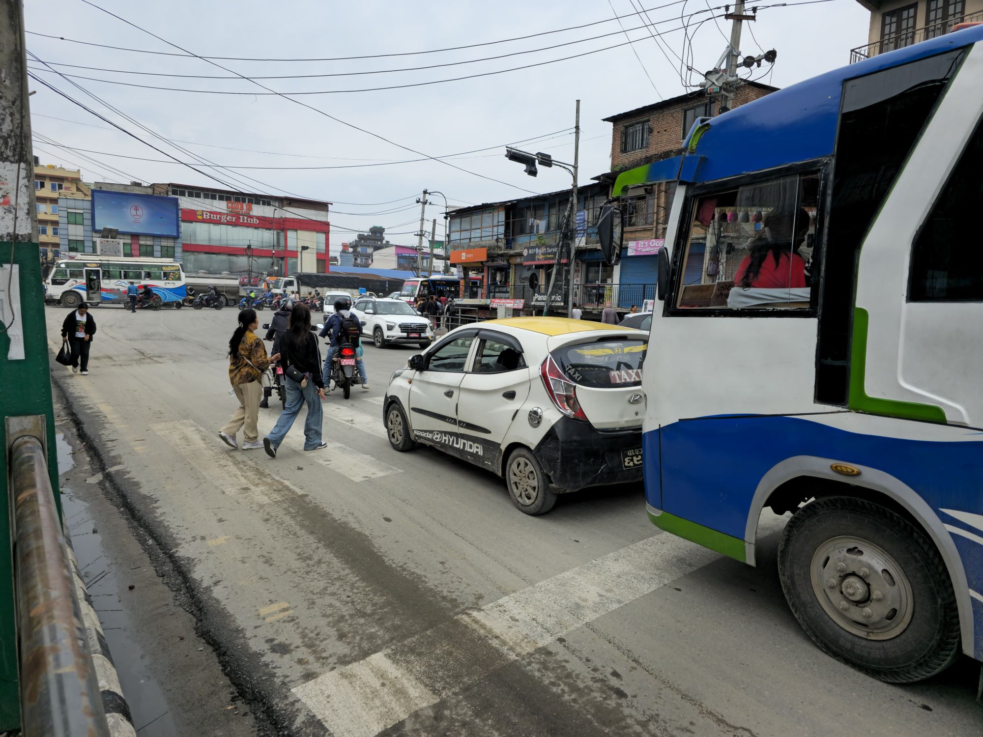 zebra-cross-(18)-1750046515.jpg
