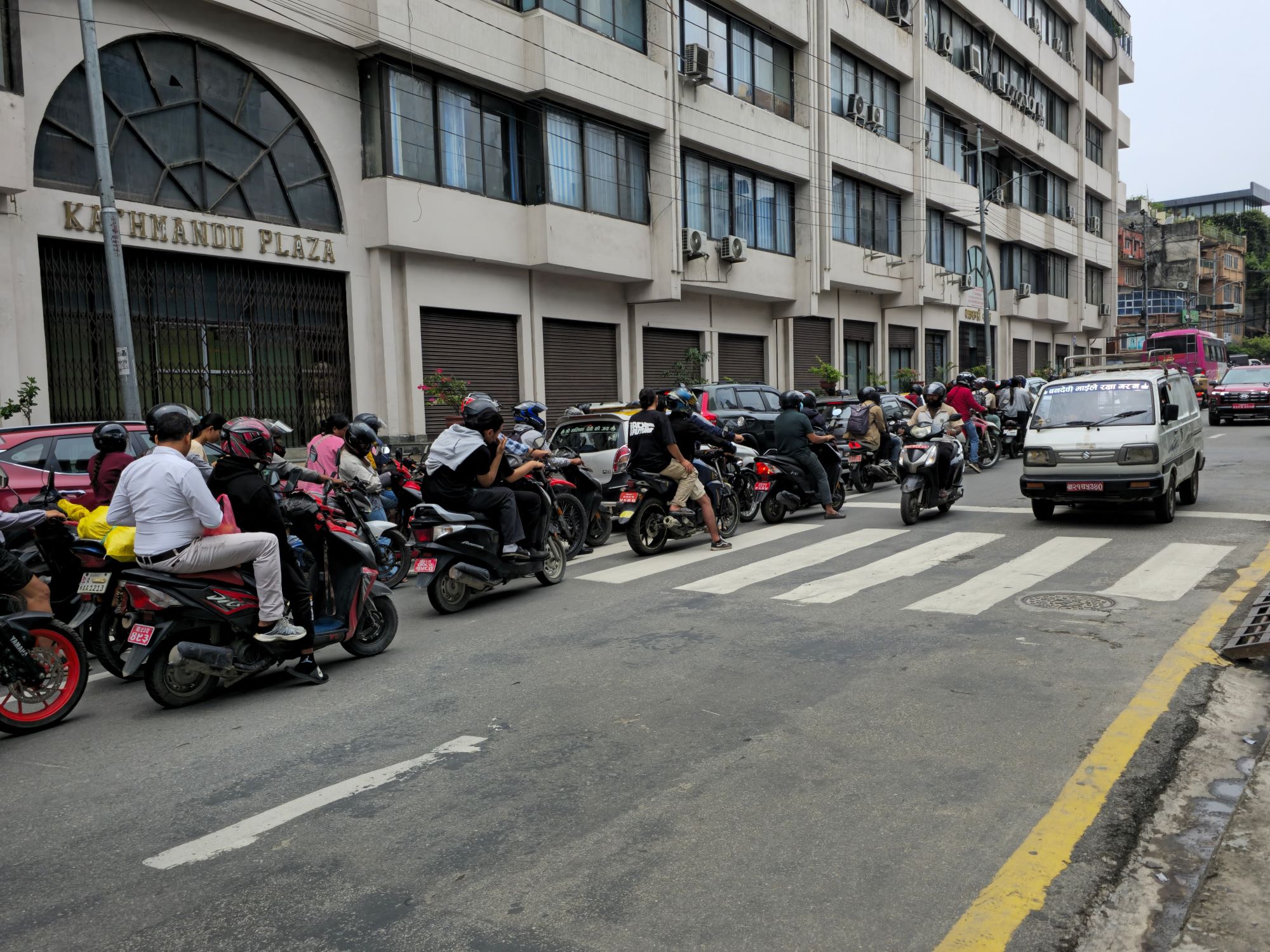 zebra-cross-(6)-1750046510.jpg